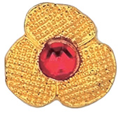 Oesenknoepfe AA0945 - Vamp
