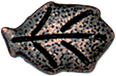 Bottoni Gambo AA1124 - Vamp