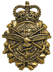 Broches SP0060 - Vamp